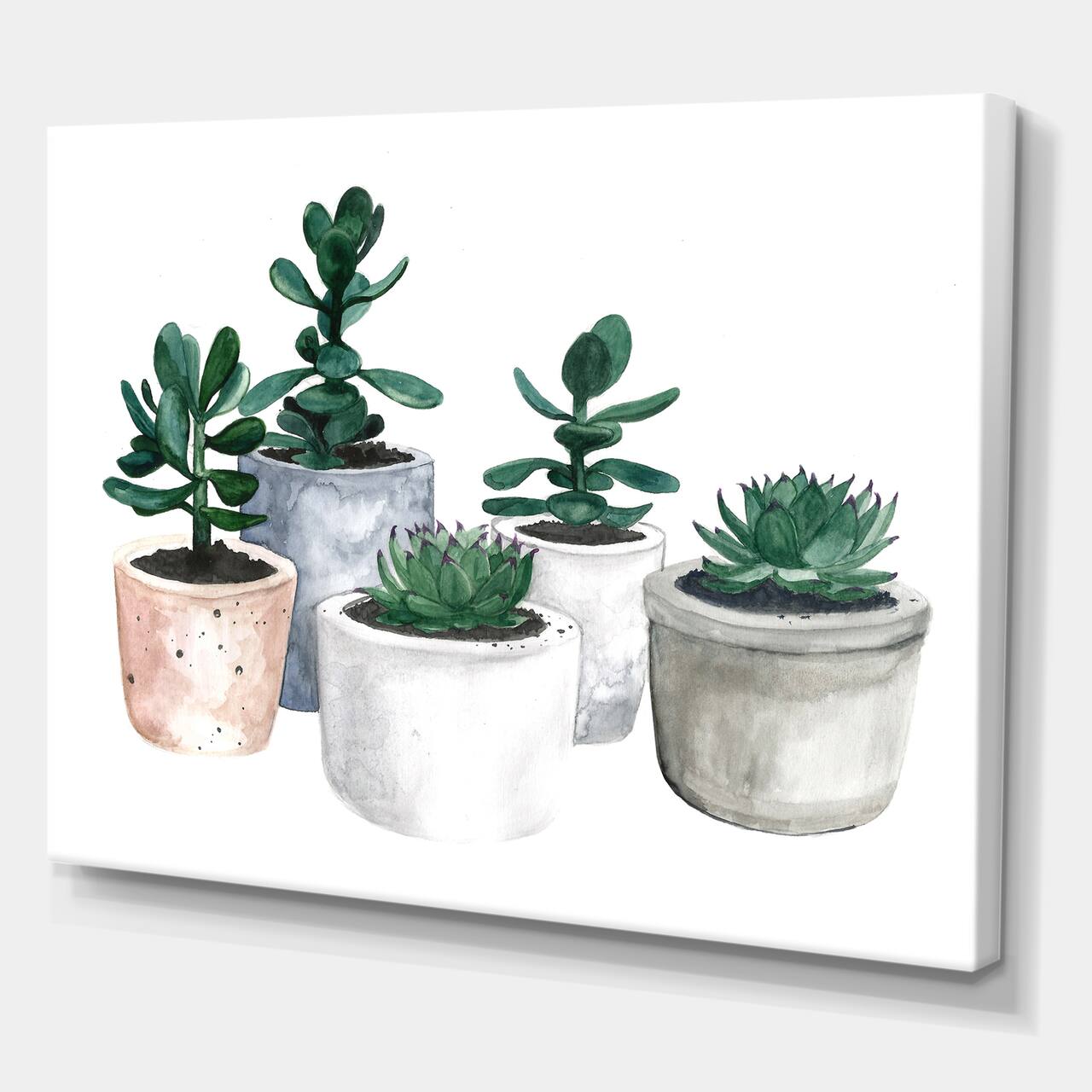 Designart - Cactus and Succulent House Plants VI - Farmhouse Canvas Wall Art Print